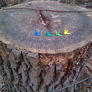 Meet your Posher, Holly